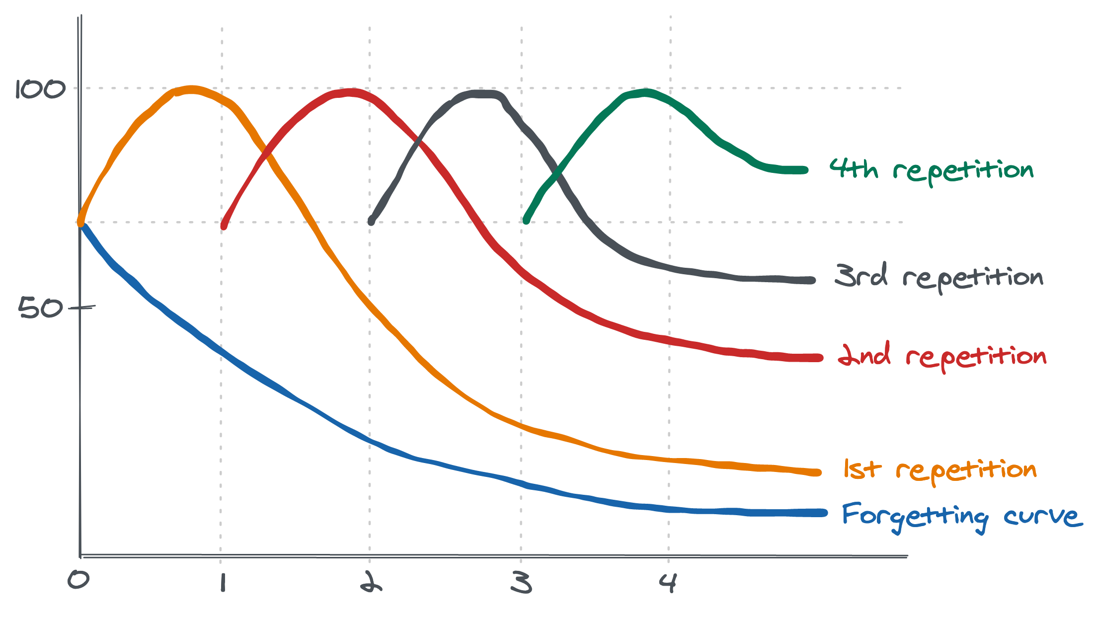 Forgetting curve